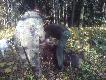 �owczy ,Le�nika' patroszy strzelonego wycinka w asyscie swojej m�odej �ajki 