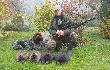 Odstrza� redukcyjny bobra