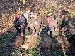 Polowanie Hubertowskie 2011r. Na zdj�ciu widoczne 4 z 5 pozyskanych dzik�w wraz ze szcz�liwymi strzelami.