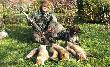By�y sobie liski trzy, liski trzy......