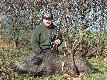 Przelatek o wadze 57 kg strzelony 12.11.2011 o godz. 19.10 oraz znaleziony na drugi dzie� zrzut jelenia o wadze 2.4 kg