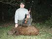 14.04.2011 Sezon rozpoczynam pud�em do dzik�w,nieokie�znane emocje da�y zna� o sobie. Jednak wytrwa�o�� pop�aca i kilka dni po pierwszym spotkaniu z "czarnuszkami"w tym samym miejscu strzelam przelatka. DB