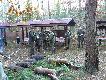 dekoracja kr�la...w dw�ch miotach strzelonych zosta�o 5 dzik�w, �ania i cielak