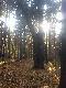 D�b Bartek