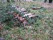 Pokot trzeciego zbiorowego: jeden lis, dwana�cie zaj�cy, osiem ba�ant�w. (Mia�o by� lepiej no ale c�...)