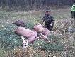 Zosta�em v-ce kr�lem, pozyska�em �anie