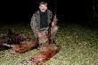 Polowanie 20.11.11- m�j dublet