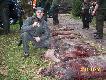 Na polowaniu zbiorowym strzelono 8 dziczk�w,w tym moje  2 ,po czym zosta�em Kr�lem  polowania...Dzi�kuje Ci �w.Hubercie....Pozdrawiam ..DB...Rajmund..