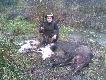 jedno stanowisko, sze�� strza��w