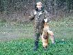Mykita pozyskany na polowaniu zbiorowym dnia 26-11-2011 r.  w okolicy miejscowo�ci Browina.