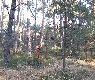 Forumowy adamm1023 kieruj�cy nagank�.Ada�-dzi�kuj�,mi�o by�o pozna� i wsp�pracowa�,szczeg�lnie w ostatnim miocie... ;)