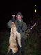 lisek nr 7-strzelony kul� 30-06 na drugim obwodzie polnym w Gr�boszycach..Darz B�r kemor21..