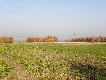 Naganka ruszy�a.