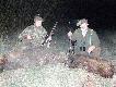 Efekt polowania z tat� :) Pokot pi�kny.Odyniec(m�j) i przelatek p�ci �e�skiej(taty).Dla takich chwil warto �y�.Darz B�r