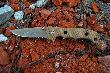 CRKT Desert Cruiser Operation Iraqi Freedom


Dane : D�ugo�� ostrza: 9,5 cm D�ugo�� ca�kowita: 22,9 cm Grubo�� ostrza: 0,35 cm Rodzaj ostrza: Triple point cz�ciowo z�bkowane Rodzaj stali: AUS8 58-59 HRC R�koje��: Tekstura Zytel Waga: 176 g