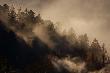 Bieszczady
Wicej na http://picasaweb.google.com/sz.bartosz Zapraszam
