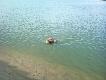 Pierwszy aport z wody (i to nie �wiczony;) )