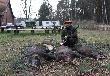 Przy strzelonym przelatku i kolejny medal vice kr�la polowania. 