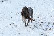 By�y st�jki, �ci�gania, asysty, celne strza�y, jest i aport. mb