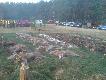 Pokot po 3-ch dniach polowania w Wa�czu.Wtedy to ostatni raz polowa�em z GP Demonem(Drylem)