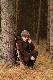 Nie,  nic nie by�o, nic nie widzia�em, jest do bani, tak, bardzo ci� kocham, tak, zaraz wracam ;-)))