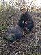 Weekendowy wycinek :) Nie ma to jak szczerze by� zaproszonym :):):) Automacik Benelli znowu nie zawi�d� :)