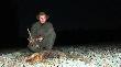 11-12-2011 O 23:50 uda�o mi si� strzeli� rudzielca (21). W lunecie wygl�da� na olbrzyma. W rzeczywisto�ci te� taki by�. Niestety �wierzb, dziwny wygl�d g�owy i nieciekawa sk�ra odrzuca�a. o 00:30 poszed�em do auta po aparat. W drodze do lisa postanowi�em p�j�� przez pole i w �wietle ksi�yca, na polu wypatrzy�em patyk bardzo podobny do zrzutu. Po zapaleniu latarki, okaza�o si� �e to jednak kolejna "sztuka". Takim o to sposobem jest to najp�niejszy znaleziony zrzut bo o godzinie 00:40   
