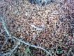 jest i nast�pny te� �wie�y