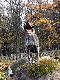dosy� ju� tego modelinguuuuuu...... :D 