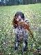 ba�ancik :)