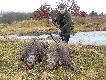 Pojecha�em rano na kozy i napotka�em watah� warchlak�w. Przy okazji sprawdzi�em now� amunicj� Hornady z poc. V max. Pierwszy dzik strzelony za ucho- pad� w ogniu, drugi w biegu na komor� przelecia� 50m. Tym dubletem podsumowa�em rok 2011.