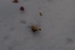 30.12.2011
Tyle by�o go wida�