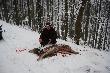Pierwsza z �a� Kamila. Przysz�a chmara i uda�o mu si� zrobi� dublet do �a� co by�o jedynym pokotem tego polowania. Jakby to powiedzia� nasz tato "wiedzia�y na kogo maja wyj��" Gratuluje bracie. PS za farb� przepraszam. 