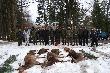 Pokot i zako�czenie polowania. 