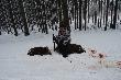 dublet i vice kr�l polowania... gartuluje bracie...