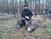 Fotka poruszona ale co tam....Dublet dziczy+2sarny kozy za to otrzyma�em kr�la polowania...Rado�� przeogromna-)