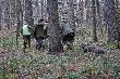 auta si� zakopa�y i trzeba by�o poci�gn��