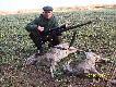 Poranny wypad w teren zako�czony oto tym dubletem .....Sarna koza waga 17 kg,s.ko�le 10 kg....Pozdrawiam...DB..