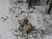 Stycze� 2012r. Wreszcie �nieg, hura!Mo�na za�y� k�pieli:):)