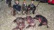 tym razem �w.Hubert darzy� mi bratu i tacie ,lepiej by� nie mog�o.  