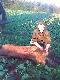 foto niewyra�ne ale to pierwsza w �yciu �ania