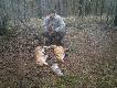 Towarzysz �ow�w kol.Jacek-Darz B�r