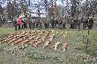 Efekt polowania 5 K� �owieckich i 2 OHZ Wsp�lny Pokot w STACJI BADAWCZEJ W CZEMPINIU