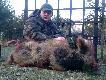 Syberyjskie mrozy nadesz�y z lekkim op�nieniem ale zbior�wk� na trzcinach zd��yli�my zrobi� :)