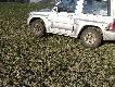 ...i taki widok przytrafia nam si� po drodze!!!31 stycznia 2012 r.