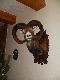 Takiego ka�dy chcia�by strzeli�