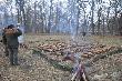 Wsp�lny pokot 4 K� �owieckich i 2 OHZ 58 lis�w,tch�rz i kuna.