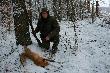 03.02.2012  15 stopni na minusie,pies biega� i szczeka� jak op�tany i si� doigra�