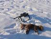 5,56x45 NATO  :D po polsku .223 Rem