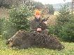 Pierwszy ,,dziczek'' w tym sezonie pozyskany podczas nocnego podchodu waga 80 kg or� po spreparowaniu 20 cm